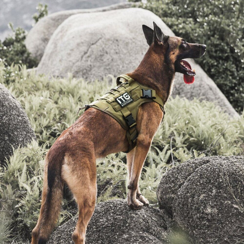 OneTigris FIRE WATCHER Dog Harness 2.0 Large  BENEFITS SENIOR RESCUE - Picture 2 of 12
